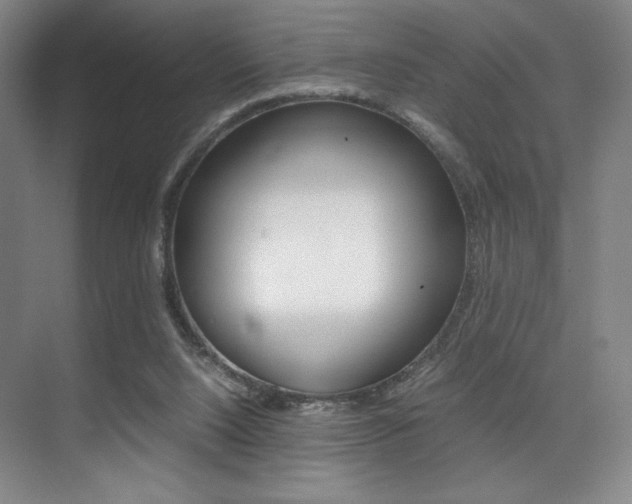 X0000075360064200609080849