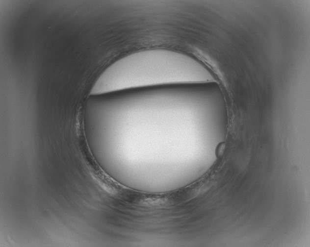 X0000075360065200609080849