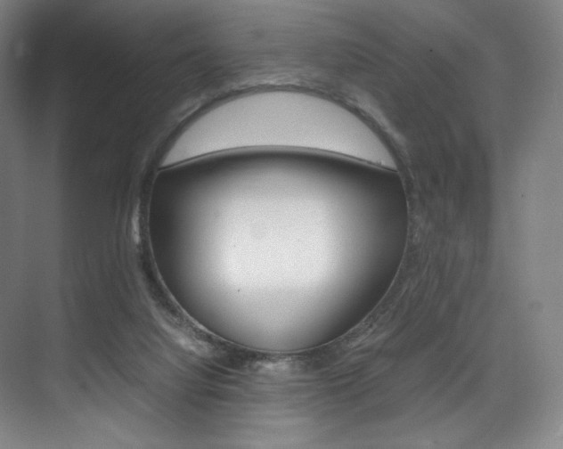 X0000075360068200609080849