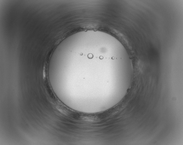 X0000075360069200609080849