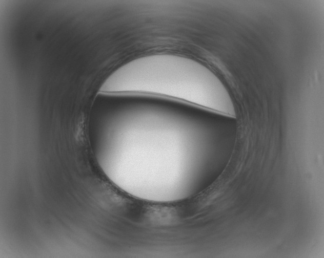 X0000075360073200609080849