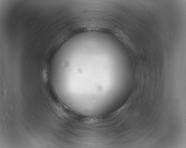 X0000075360074200609080849