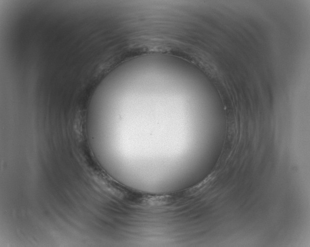 X0000075360078200609080849