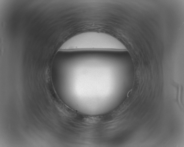 X0000075360079200609080849