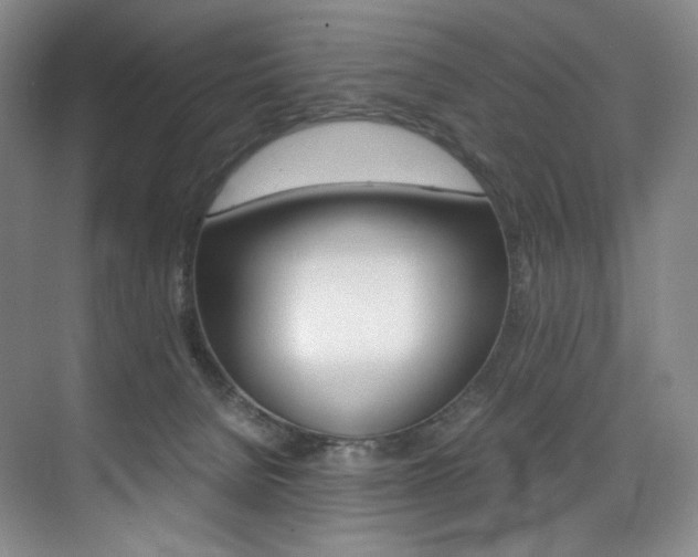 X0000075360080200609080849