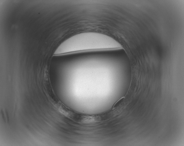 X0000075360083200609080849