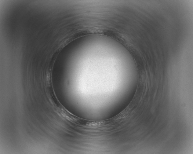 X0000075360084200609080849