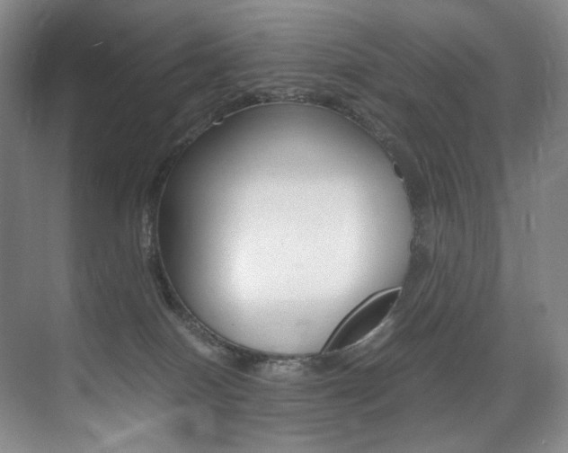 X0000075360086200609080850