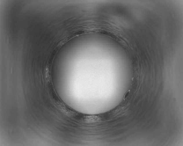 X0000075360087200609080850