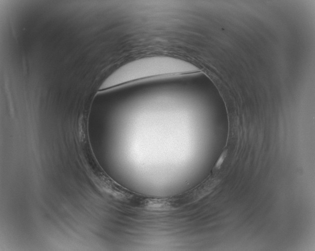 X0000075360088200609080850