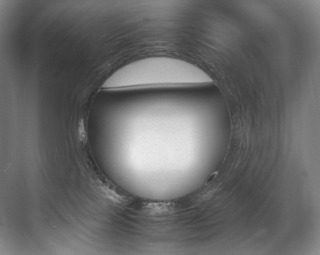 X0000075360089200609080850