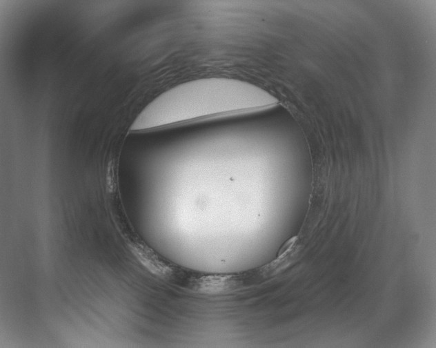 X0000075360090200609080850