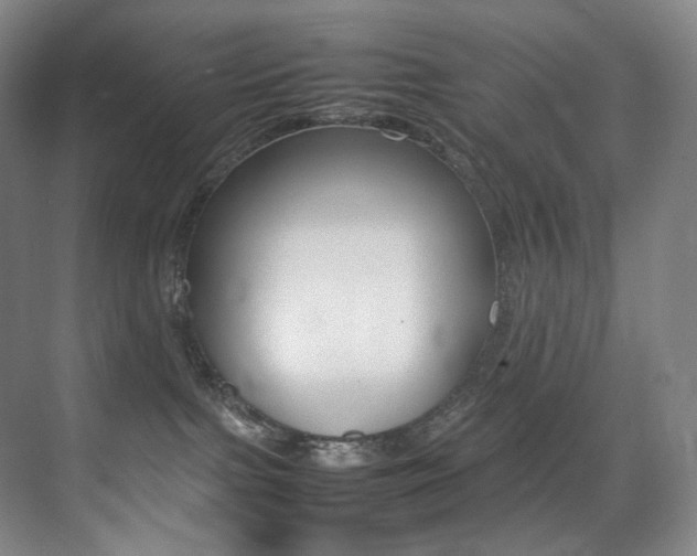 X0000075360091200609080850