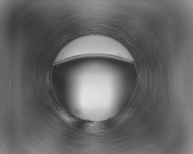 X0000075360092200609080850