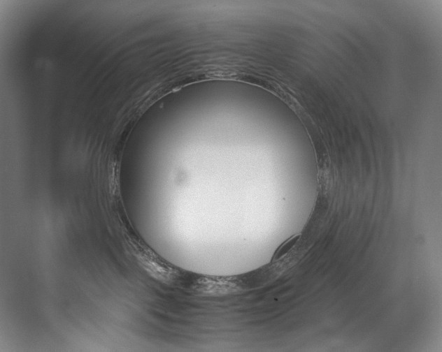 X0000075360093200609080850