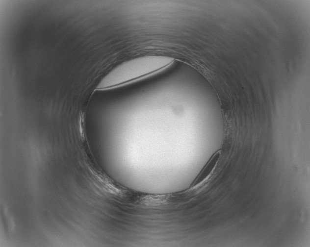 X0000075360094200609080850