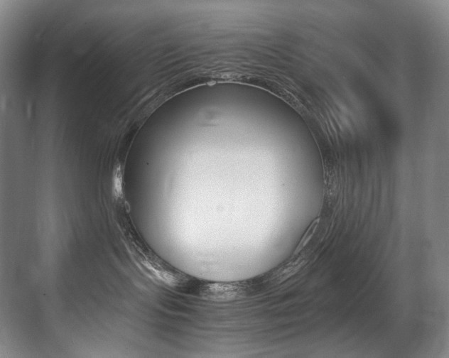 X0000075360095200609080850