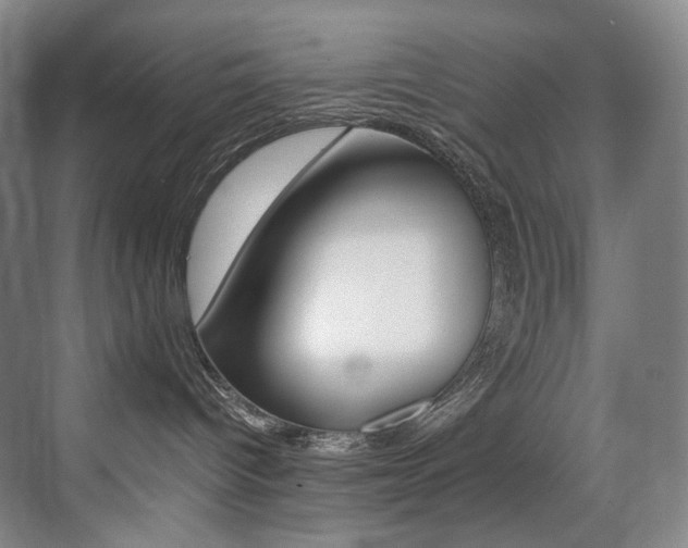 X0000075360096200609080850