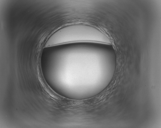 X0000075360097200609080849