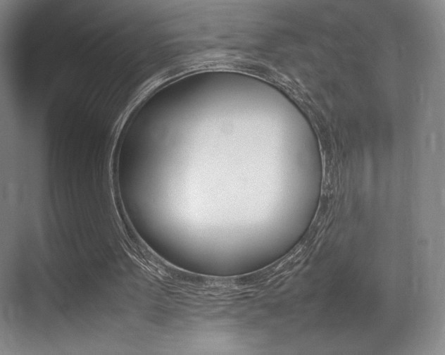 X0000075360099200609080849