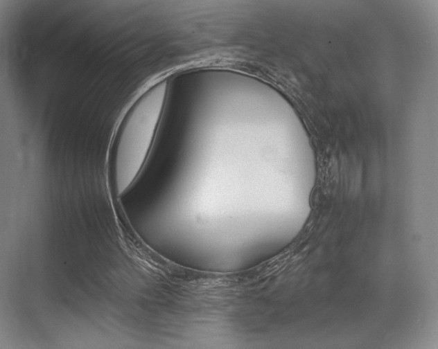 X0000075360100200609080849
