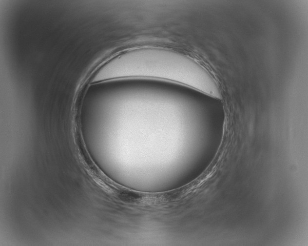 X0000075360101200609080849