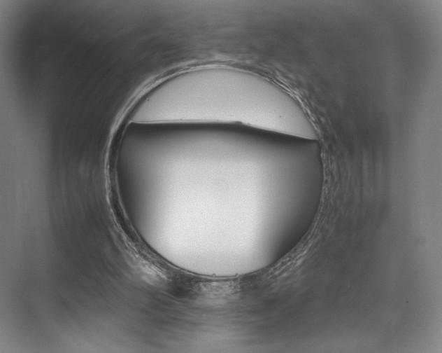 X0000075360102200609080849