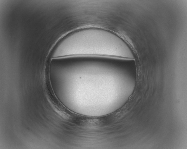 X0000075360108200609080849