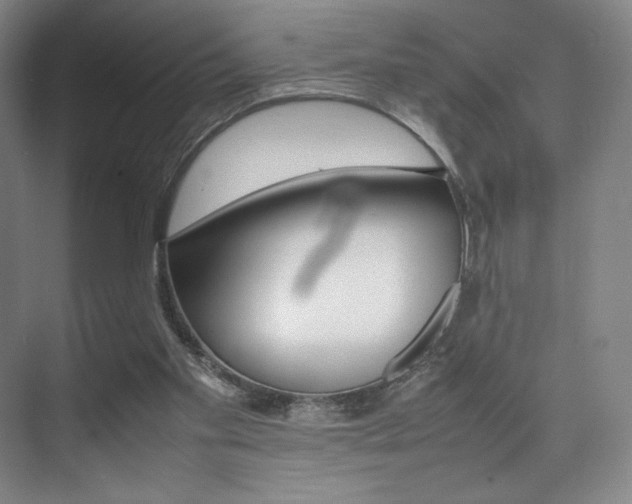 X0000075360109200609080849