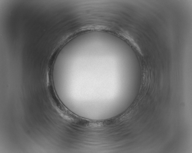 X0000075360110200609080849