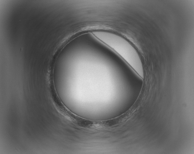 X0000075360111200609080849