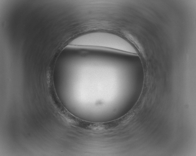 X0000075360113200609080849