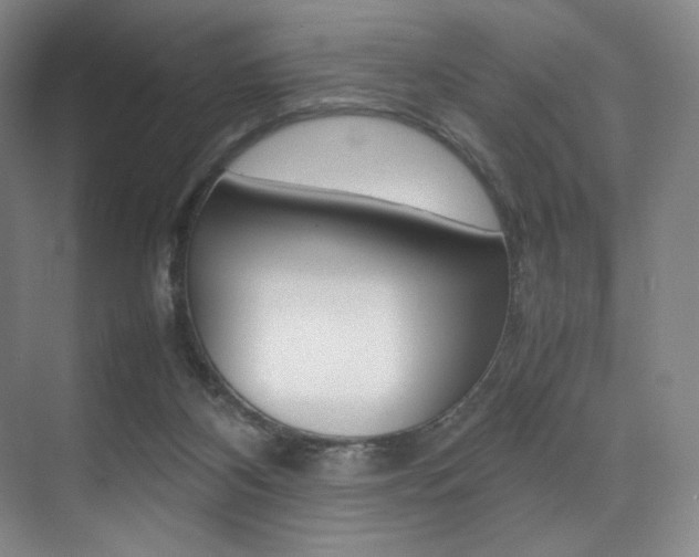 X0000075360116200609080849