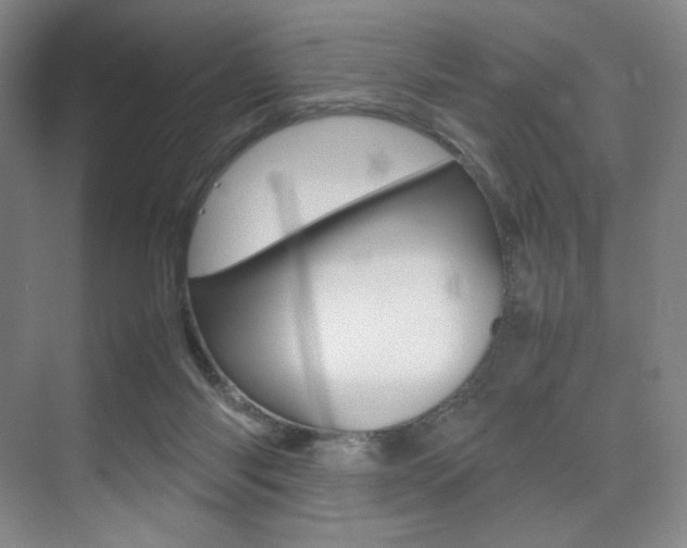 X0000075360118200609080849