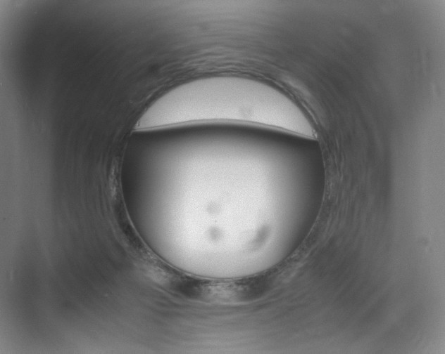 X0000075360121200609080848