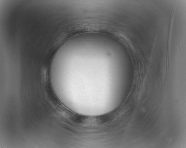 X0000075360123200609080848