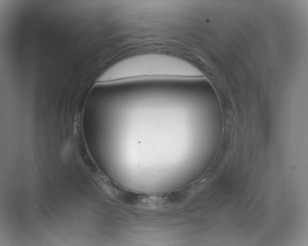 X0000075360125200609080848