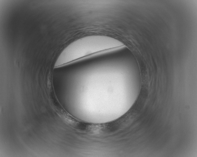 X0000075360131200609080848