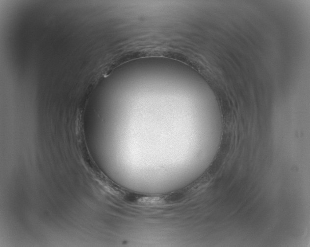 X0000075360133200609080848
