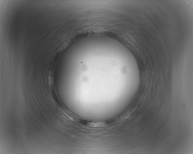 X0000075360135200609080848