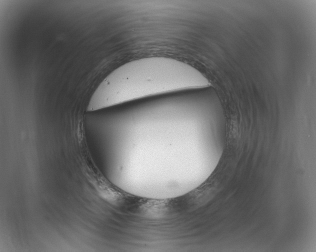X0000075360138200609080848
