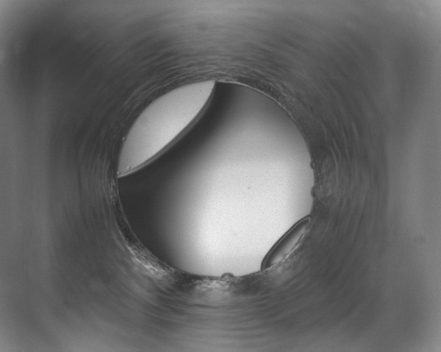 X0000075360140200609080848