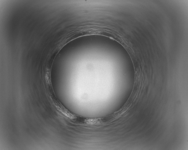X0000075360141200609080848