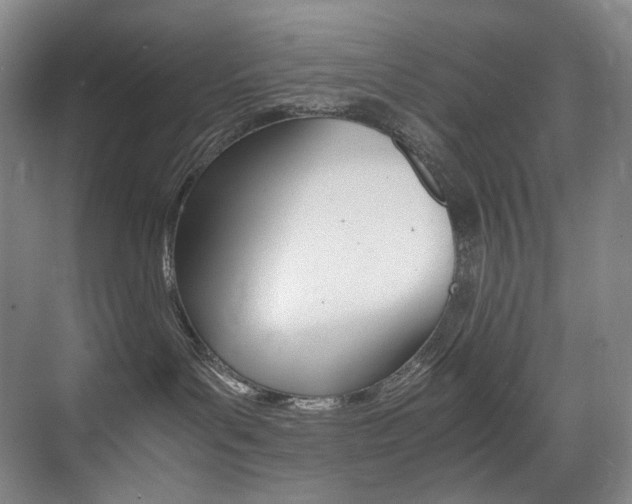 X0000075360143200609080848