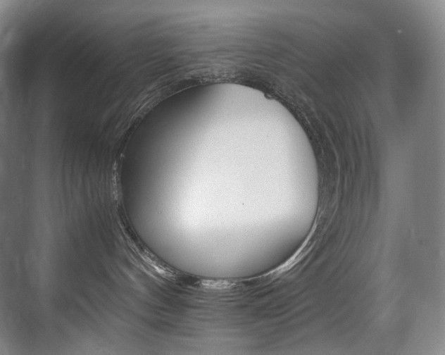 X0000075360144200609080848