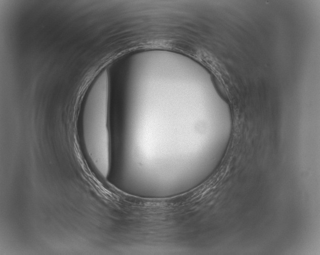 X0000075360145200609080847