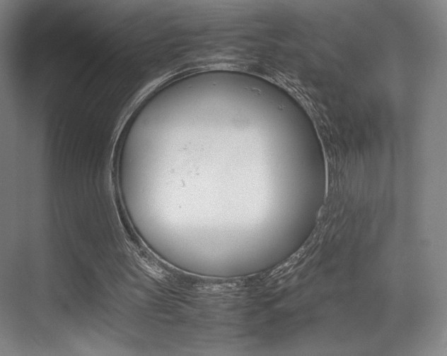 X0000075360147200609080847