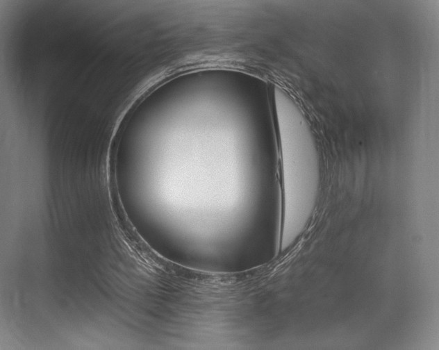 X0000075360148200609080847