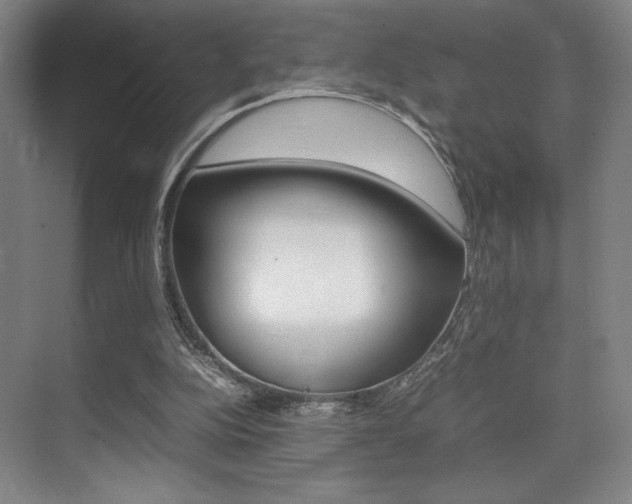 X0000075360152200609080847
