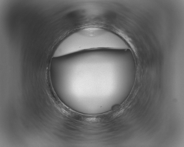 X0000075360153200609080847